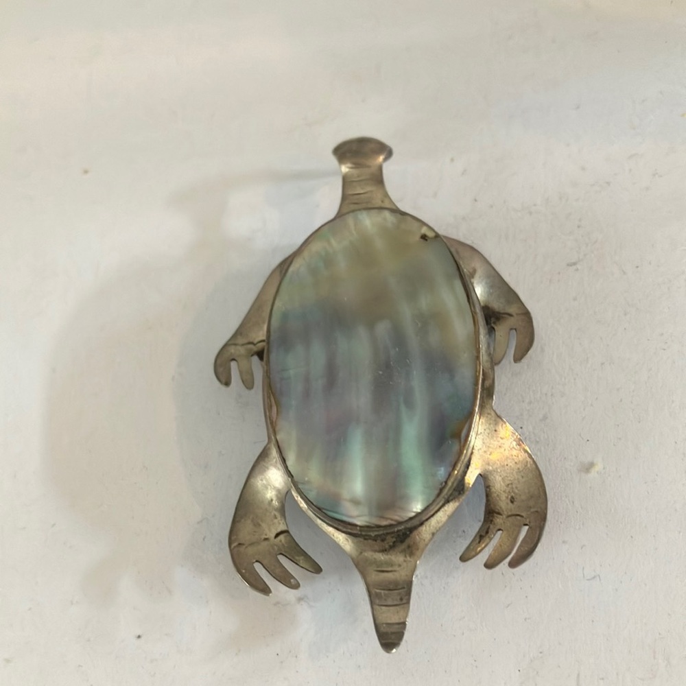 Abalone turtle pin
